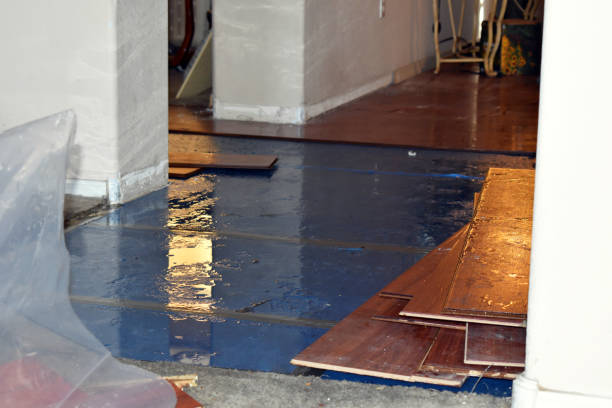 Professional Sewage Cleanup technician working in Flora, IL